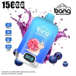 Bang 15000 Puffs Disposable Vape Wholesale Blueberry Freeze